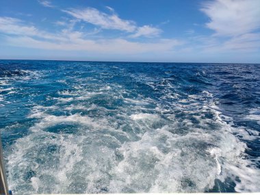 Parlak güneş ışığı, okyanus ve uyanma arasındaki kontrastı güçlendirir. Anın enerjisini ve hareketini yakalar..