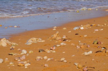 Kumsalda el salla Yaz güneşinin olduğu gün