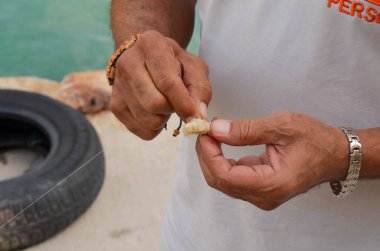Balık tutmak için yem hazırlayan bir adamın yakın çekimi, bir balık avlama macerasının başlangıcını simgeliyor..