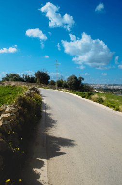 Yeşil tarlalarla kaplı açık bir kırsal yol, güneşli bir gökyüzünün altında tüylü beyaz bulutlarla güneşleniyor. Yol gezileri, kırsal kaçışlar ve doğadan esinlenilmiş maceralar için mükemmel.