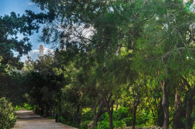 Arka planda camiye doğru uzanan yemyeşil ağaçları ve taş yolu olan huzurlu bir park. Doğa, maneviyat ve seyahat için idealdir..