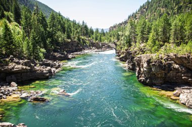 Montana 'daki Kootenai Şelalesi' nin nefes kesici manzarası akan suyun ve çevreleyen manzaranın çarpıcı doğal güzelliğini yakalar..