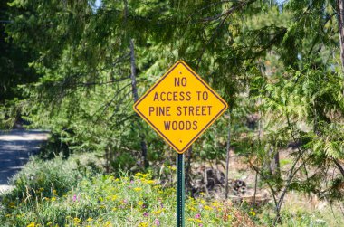  Ormandaki arka planda Pine Street Woods 'a giriş yasaktır yazan bir yol tabelası. Parlak sarı ve siyah renkler bu işareti doğal ortamlarda kısıtlı erişimin çarpıcı bir sembolü yapıyor.