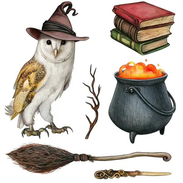 Watrcolor güzel ahır baykuşu bir yığın üzerinde cadı şapkası takıyor 