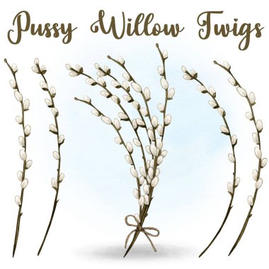 Watercolor pussy willow decoration