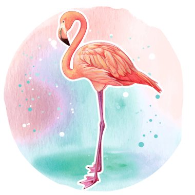 Suluboya güzel gerçekçi pembe flamingo 