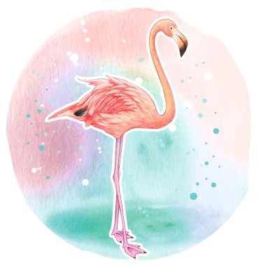 Suluboya güzel gerçekçi pembe flamingo 