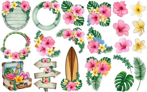 suluboya el çizilmiş tropikal amber süslemeleri clipart seti