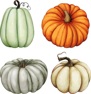 Suluboya el gerçekçi balkabağı seti