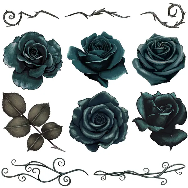 suluboya gotik el çizimi siyah güller