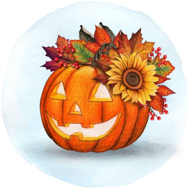 Suluboya tatlı hasat ayçiçekli balkabağı