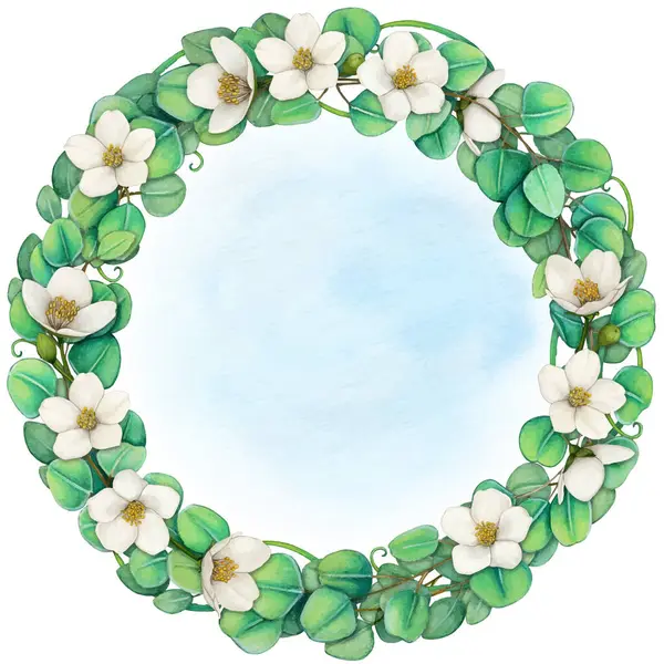 Suluboya el okaliptüs çelengini yuvarlak çizdi