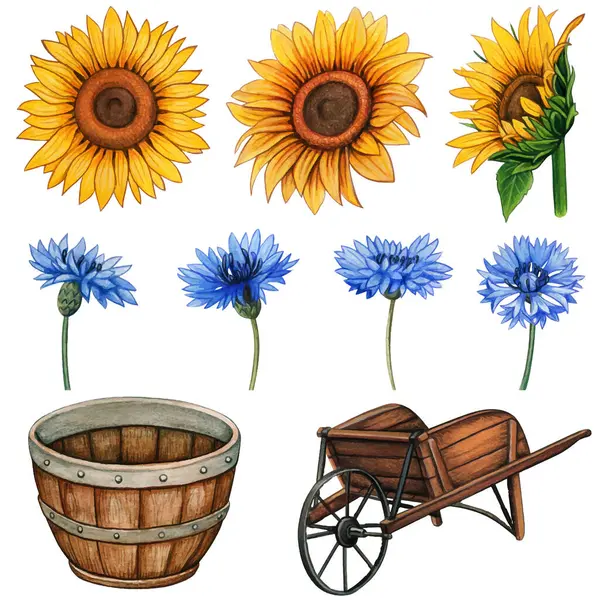 Suluboya ülke çiçekleri ve ahşap kırsal elementler