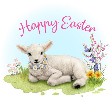 Watercolor realistic cute farm lamb clipart