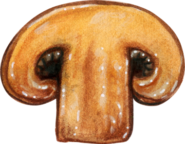 Suluboya el çizimi mantar dilimi