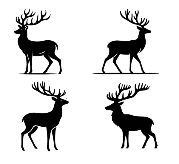 Boynuzları ve boynuzları olan bir geyik siyah beyaz gösterilir.