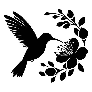 Uçan sinekkuşları silueti beyaz arka planda izole edildi