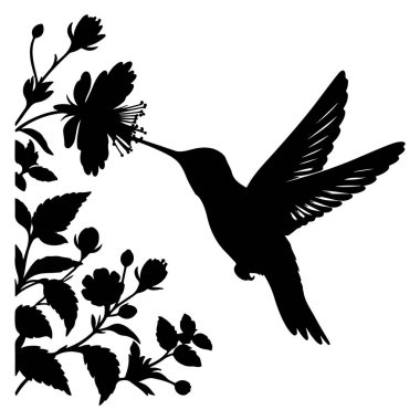 Uçan sinekkuşları silueti beyaz arka planda izole edildi