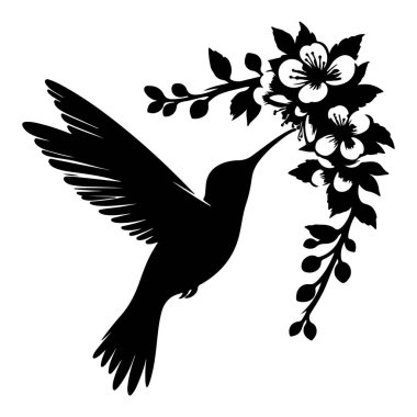 Uçan sinekkuşları silueti beyaz arka planda izole edildi