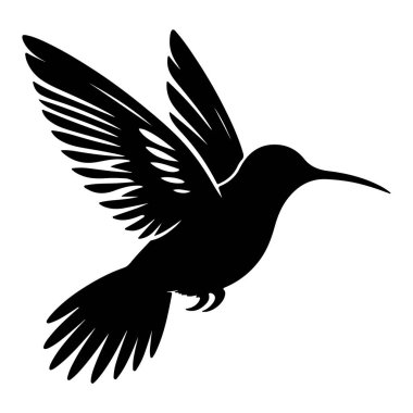 Uçan sinekkuşları silueti beyaz arka planda izole edildi