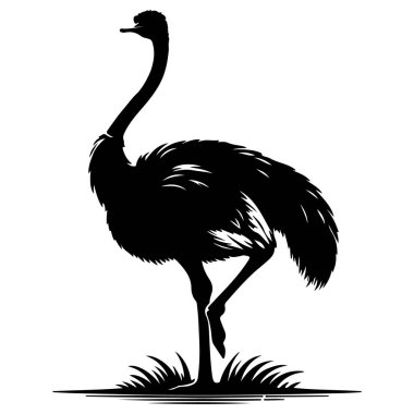 Devekuşu silueti vektör çizimi tasarımı