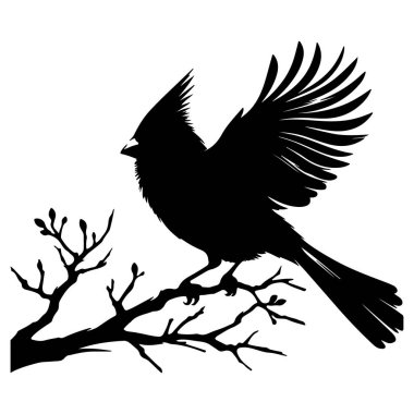 Kardinal Kuş siyah siluet vektörü beyaz arkaplanda izole edildi