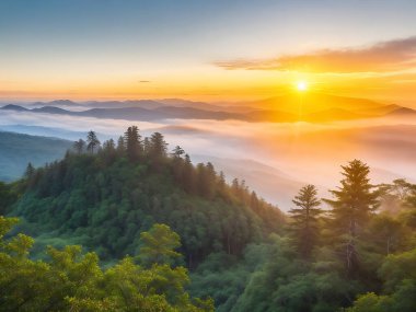 Beleş fotoğraf tarihi orman turizmi gündoğumu ünlü antik