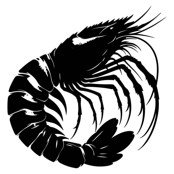 Силуэт креветок векторный дизайн белый фон