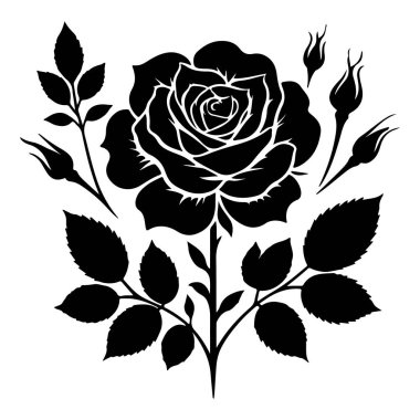 Beyaz arkaplanı olan bir gül çiçeğinin siyah silueti