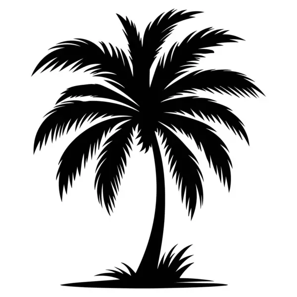 Beyaz arkaplanda Palmiye Ağacı Silüeti vektör tasarımı