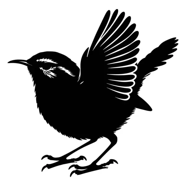 Beyaz arkaplanda Wren siluet Vektör çizimi