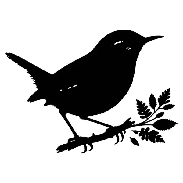 Beyaz arkaplanda Wren siluet Vektör çizimi