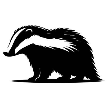 Porsuk siyah siluet vektör çizimi