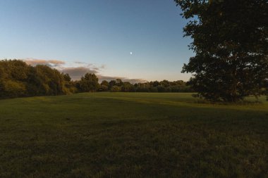 Gün batımından sonra Kuzey İrlanda 'da bir park, alacakaranlığın yumuşak parıltısıyla yıkandı.