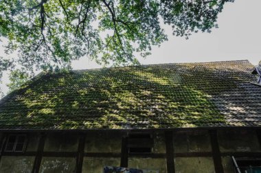 An old roof covered with lush green moss clipart