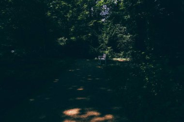 Sessizlik ve gizemle kaplanmış karanlık bir park.