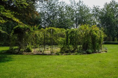 Ağaçların gölgelediği yeşil bir park sessiz ve huzurlu bir atmosfer sunuyor.