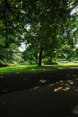 Ağaçların gölgelediği yeşil bir park sessiz ve huzurlu bir atmosfer sunuyor.