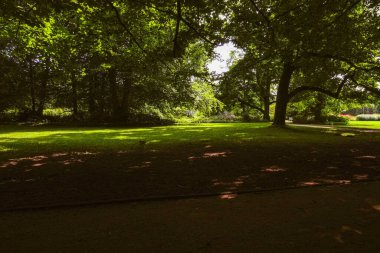 Ağaçların gölgelediği yeşil bir park sessiz ve huzurlu bir atmosfer sunuyor.