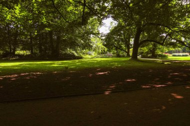 A green park shaded by trees, offering a quiet and peaceful atmosphere clipart