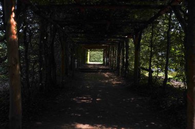 Parkta sık ağaçlarla çevrili bir tünel inzivaya çekilme ve doğal uyum hissi yaratır.