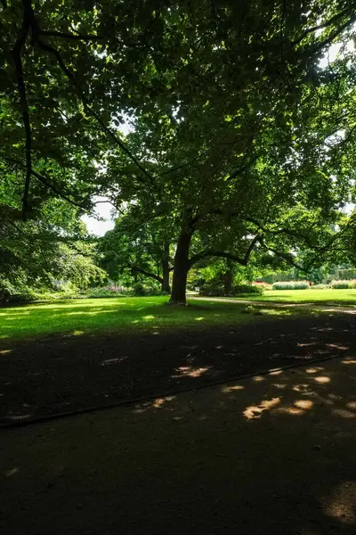 Ağaçların gölgelediği yeşil bir park sessiz ve huzurlu bir atmosfer sunuyor.