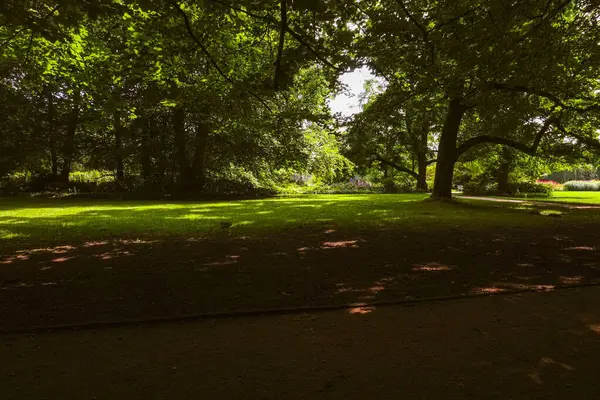 Ağaçların gölgelediği yeşil bir park sessiz ve huzurlu bir atmosfer sunuyor.