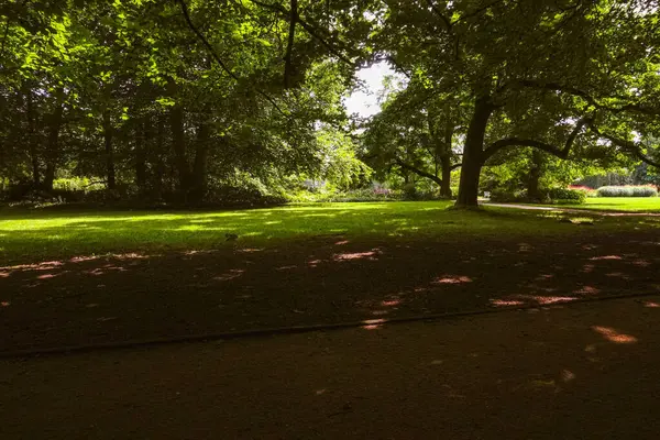 Ağaçların gölgelediği yeşil bir park sessiz ve huzurlu bir atmosfer sunuyor.