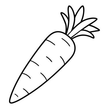 taze havuç sebze karikatürü vektör çizim grafik tasarımı