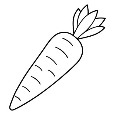 Havuç taze sebze izole edilmiş ikon