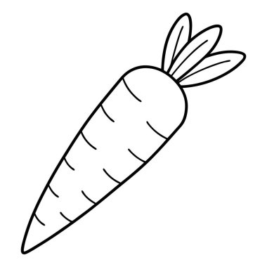Havuç sebze yiyeceği izole edilmiş ikon vektör çizimi tasarımı