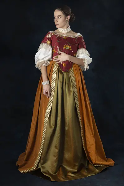 Renaissance Tudor Georgian High Fantasy Woman Wearing Embroidered Bodice Linen — Stock Photo, Image