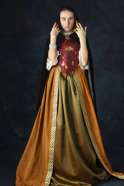 Renascimento Tudor Georgiano Mulher Alta Fantasia Vestindo Corpete Bordado Uma — Fotografia de Stock