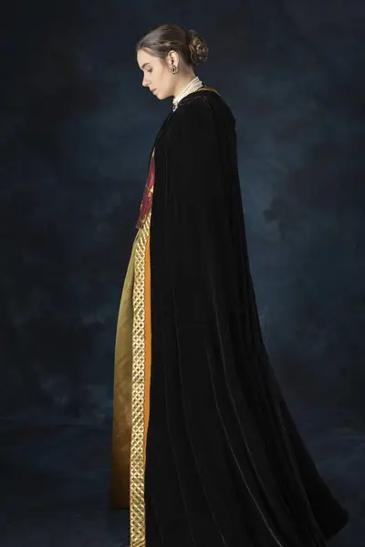 ルネッサンス チューダー グルジア または刺繍されたボディとシルクのベルベットのクロークを着用した高ファンタジーの女性 ロイヤリティフリーのストック写真